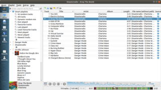 modern music player and library organizer