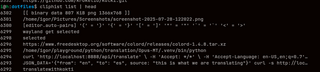 wayland clipboard manager (program)