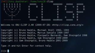 clisp in bash terminal