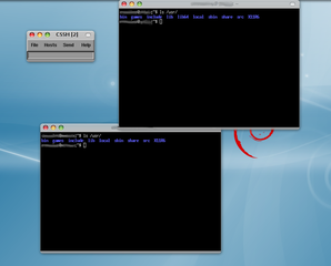 administer multiple ssh or rsh shells simultaneously