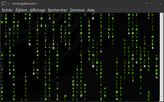 simulates the display from "The Matrix"