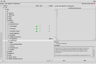 cme with ssh plugin