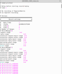 X event recorder/replayer - command-line flavor