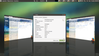 picture of compiz working with the mate desktop environment I see on the interne