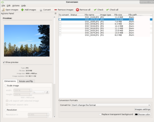 batch image converter and resizer