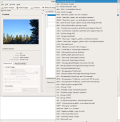 batch image converter and resizer