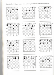 chess book format converter