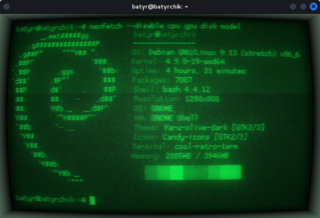 terminal emulator which mimics old screens