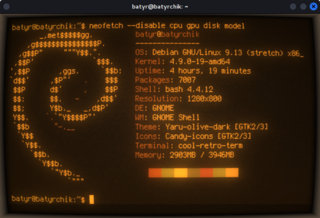 terminal emulator which mimics old screens