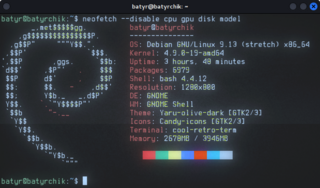 terminal emulator which mimics old screens