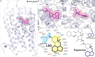 model building program for macromolecular crystallography