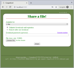 "one-click" file sharing web application with a focus on users' privacy
