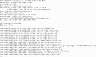 enable core files and report crashes to the sysadmin