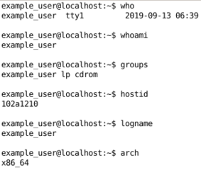 who,  whoami, groups, hostid, logname, arch