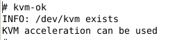 kvm-ok - determine if this system is capable of running hardware accelerated KVM