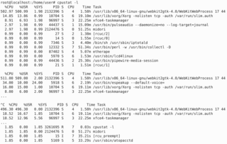 periodic cpu utilization statistics