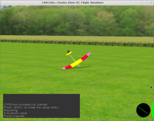 Model-Airplane Flight Simulator