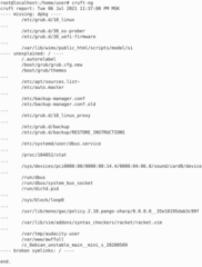 programs that helps analyse volatile "cruft" files on your system