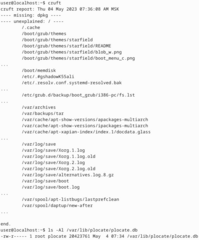 programs that helps analyse volatile "cruft" files on your system