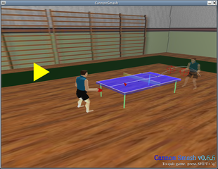 CannonSmash, a table tennis simulation game