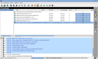 graphical download manager