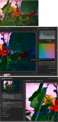 virtual lighttable and darkroom for photographers