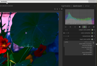 virtual lighttable and darkroom for photographers