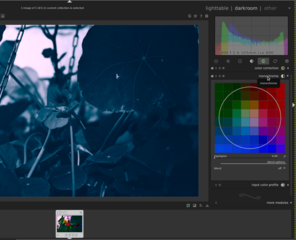 virtual lighttable and darkroom for photographers