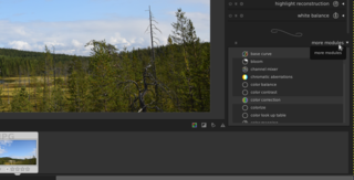virtual lighttable and darkroom for photographers