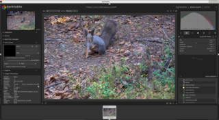 virtual lighttable and darkroom for photographers