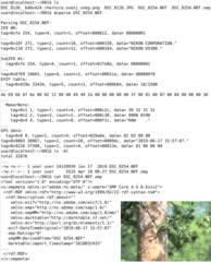 decode raw digital camera images