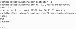 Install only wanted Debian packages