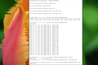 reference book for Debian users and system administrators