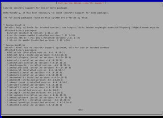 after install "debian-security-support"