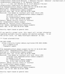 Debian Security Analyzer