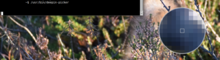 Color picker tool for deepin