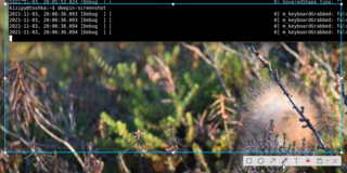 Advanced screen shoting tool