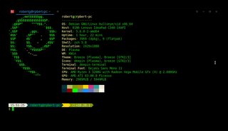 Deepin Terminal unter Debian Buster