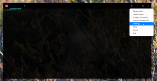 Deepin terminal emulator application