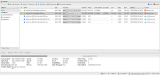multi-interface BitTorrent client (web frontend)