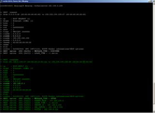 DHCP Daemon Ping Program