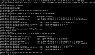dhcpoptinj replacing/injecting DHCP options of a DHCP discover/request packet