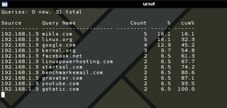 console tool to analyze DNS traffic