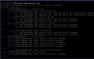 trace DNS queries to the source
