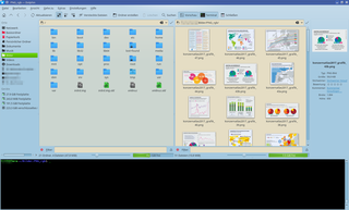 Dolphin 16.08.03, KDE-Plasma. two windows, incl. terminal