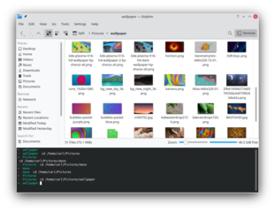 file manager