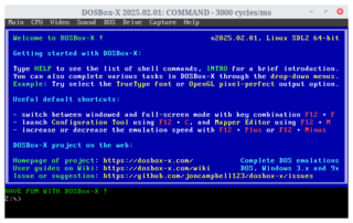 DOS emulator with complete, accurate hardware emulation