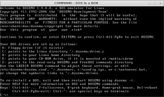 DOS Emulator for Linux