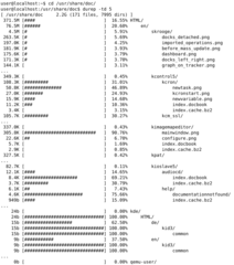create disk usage reports
