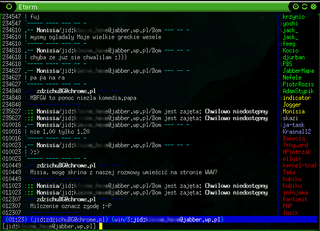 instant messenger and IRC client for UNIX systems - ncurses interface